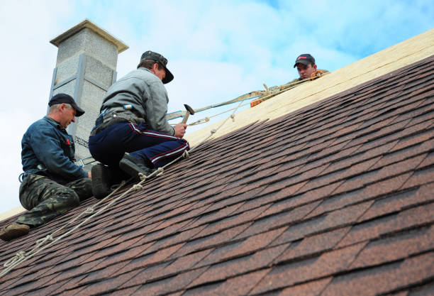 Best Metal Roofing Contractor  in Grosse Pointe Woods, MI